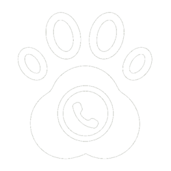 WhatsApp icon